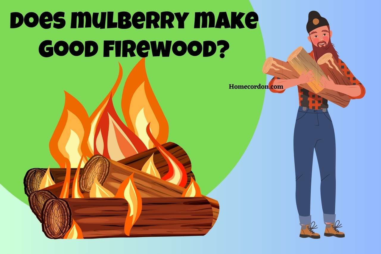 Read more about the article Is Mulberry a Good Choice for Firewood? Burning Questions