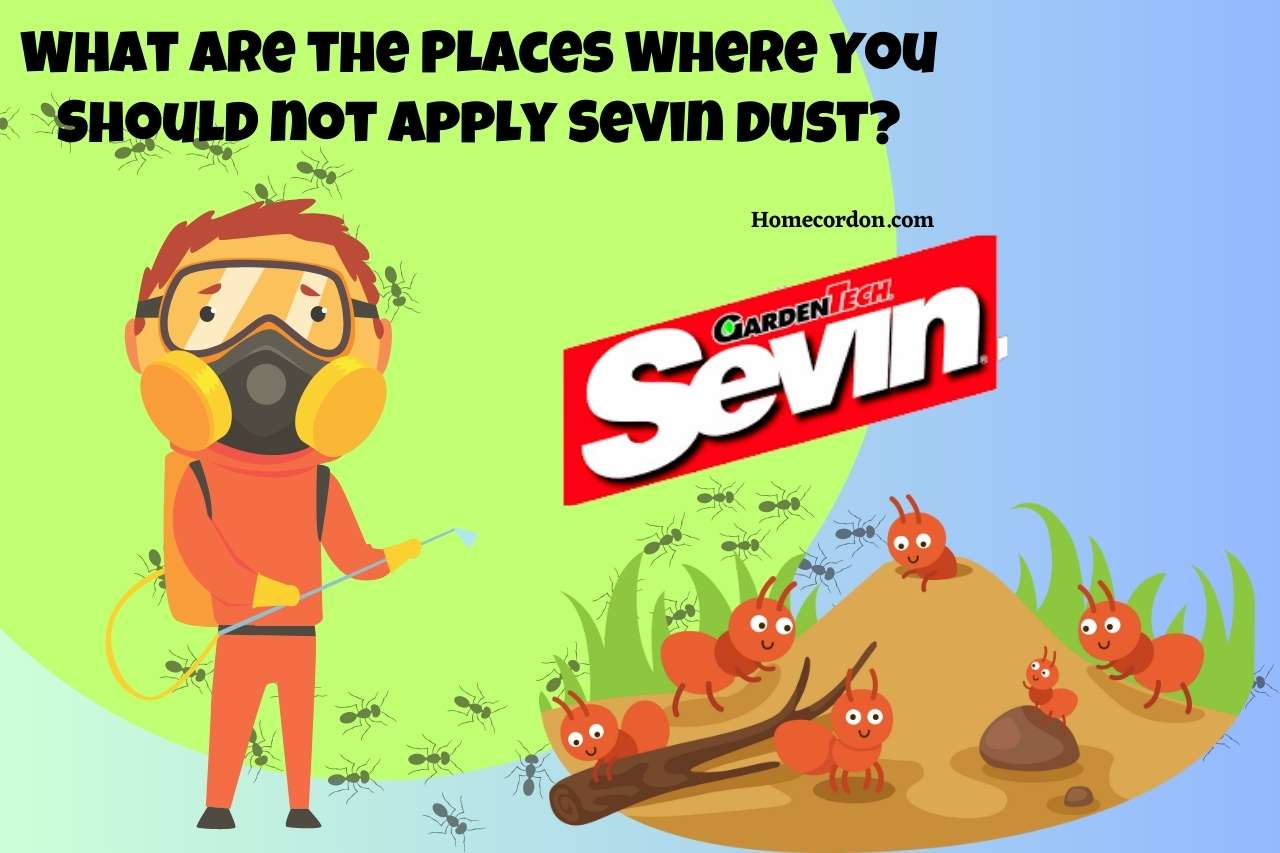 What are the Places Where You Should not Apply Sevin Dust?