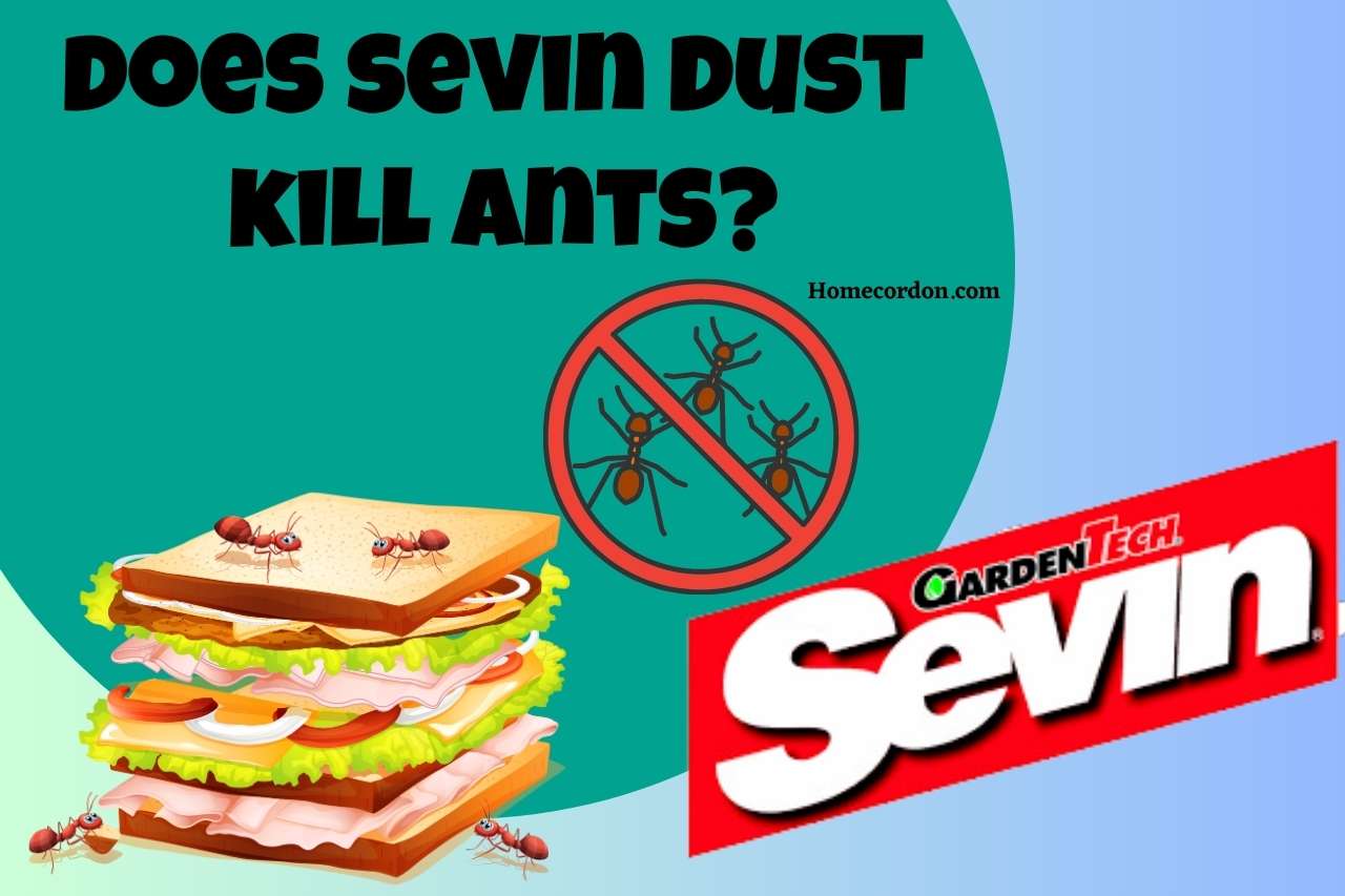 You are currently viewing Ants vs Sevin Dust: Examining the Effectiveness of this Pest Control Method