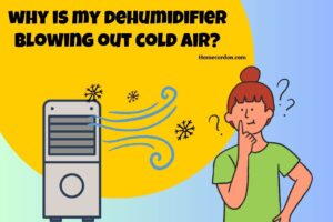 Read more about the article Why is My Dehumidifier Blowing Out Cold Air? Unveiling the Mystery!