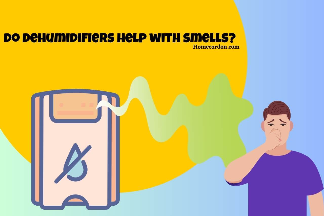 Read more about the article Do Dehumidifiers Help with Smells? Fighting Unpleasant Odors!